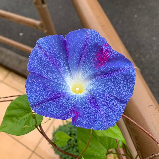 tabasaさんの実例写真