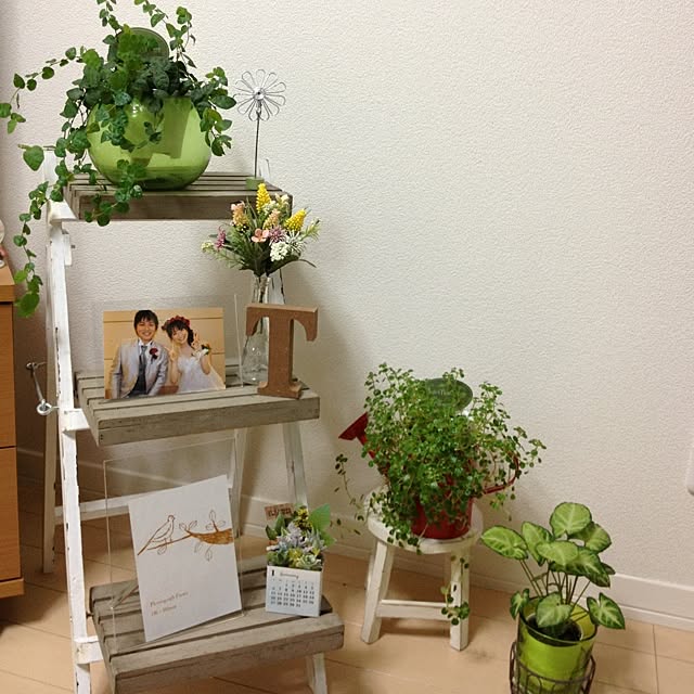 Tomoさんの実例写真