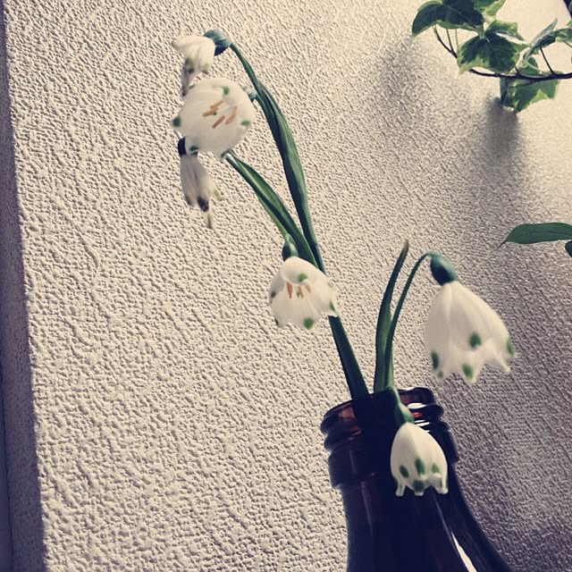 L.さんの実例写真
