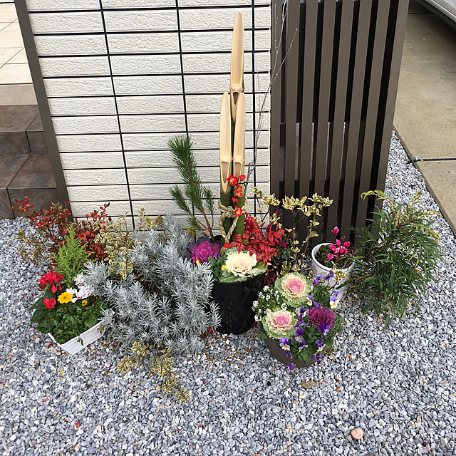 takeさんの実例写真