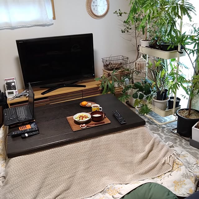 chocococoaさんの実例写真