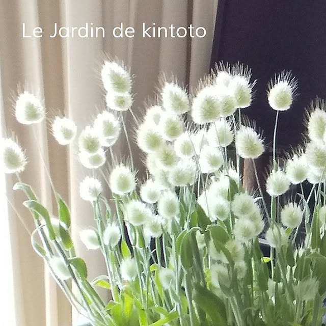 kintoto07さんの実例写真
