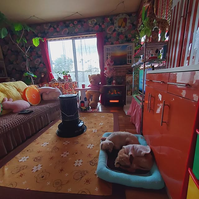 kumutanさんの実例写真