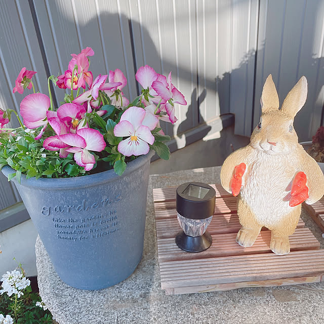 meiさんの実例写真