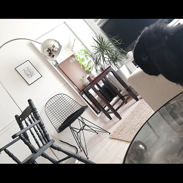 coco.Apartmanさんの実例写真