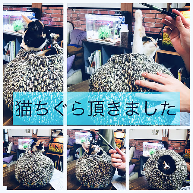 maroさんの実例写真