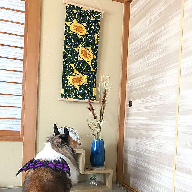 runchanさんの実例写真