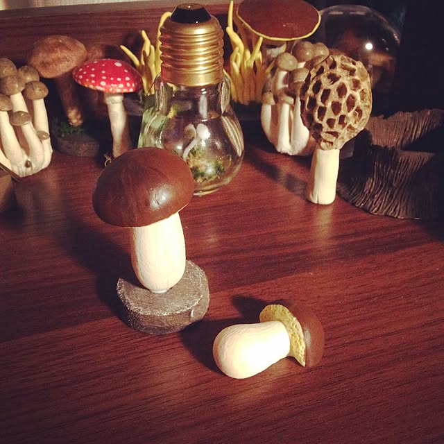 Toadstool-kさんの実例写真