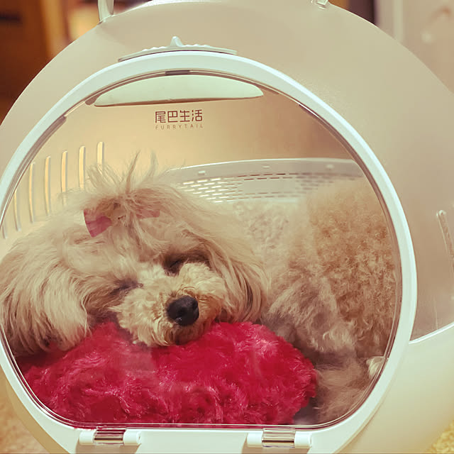 Mitsuoさんの実例写真