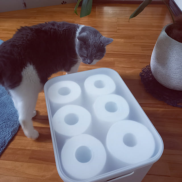 rhuさんの実例写真