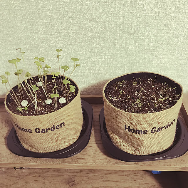 hiromamaさんの実例写真