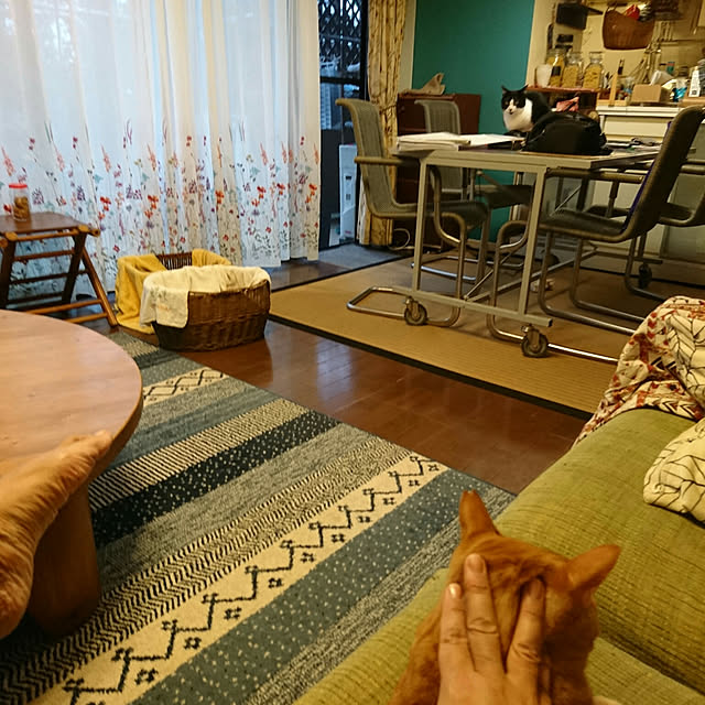 okyosan101さんの実例写真