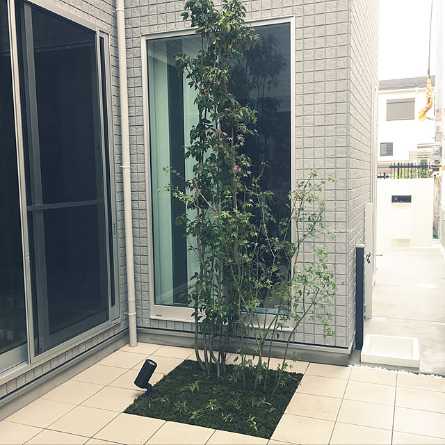 asasanさんの実例写真