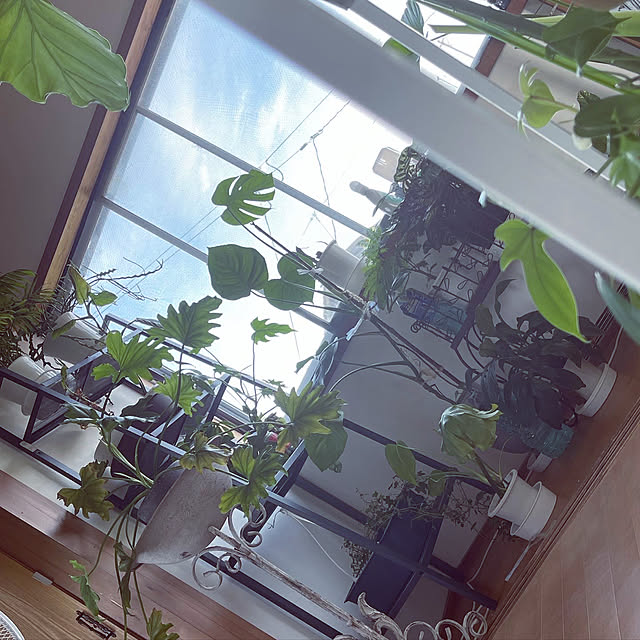 siawase.cfさんの実例写真