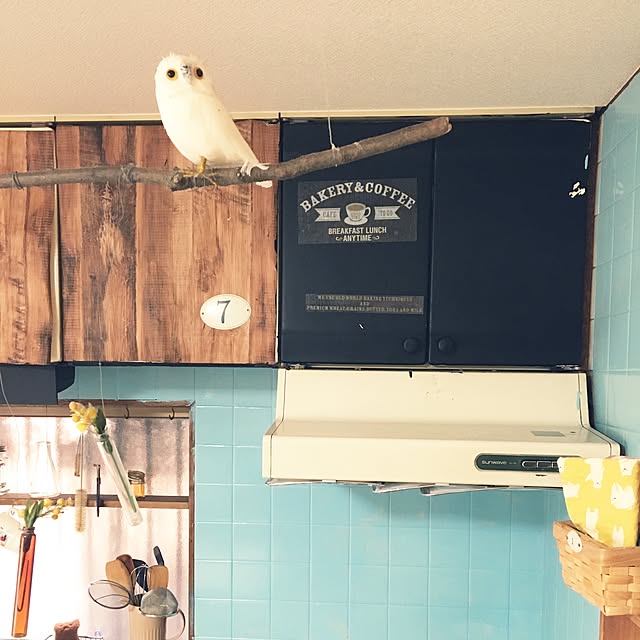 mikuさんの実例写真