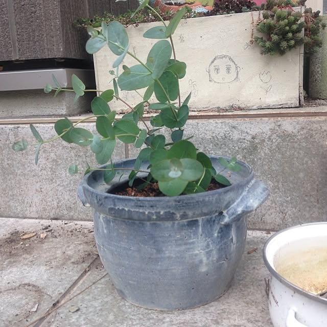 izuhanさんの実例写真