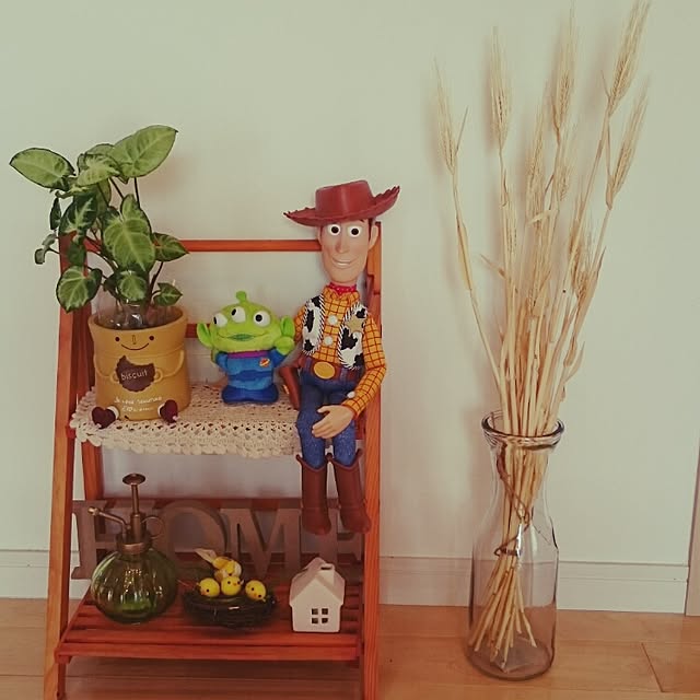 Mikaさんの実例写真
