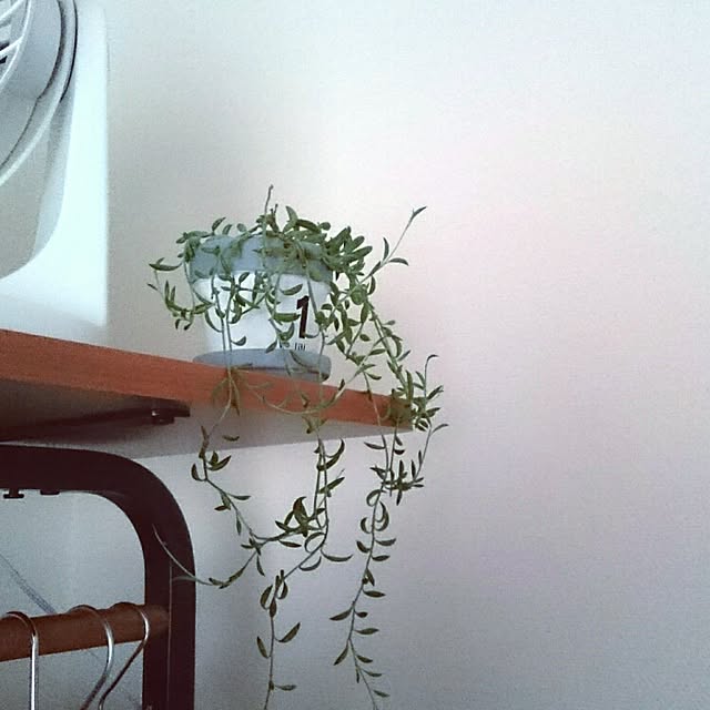 comさんの実例写真