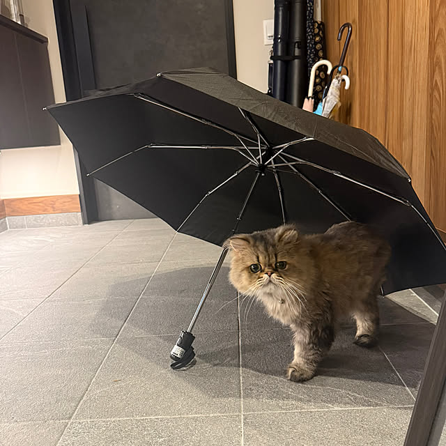Mokunaさんの実例写真