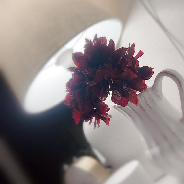 roseroseroseさんの実例写真