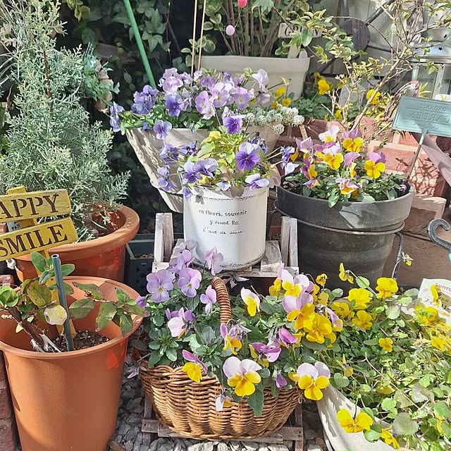 Blancheさんの実例写真