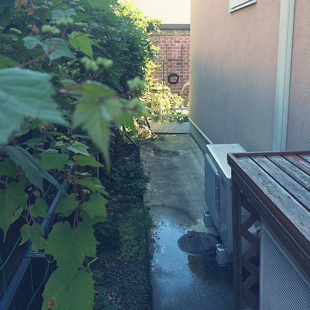 Momoさんの実例写真