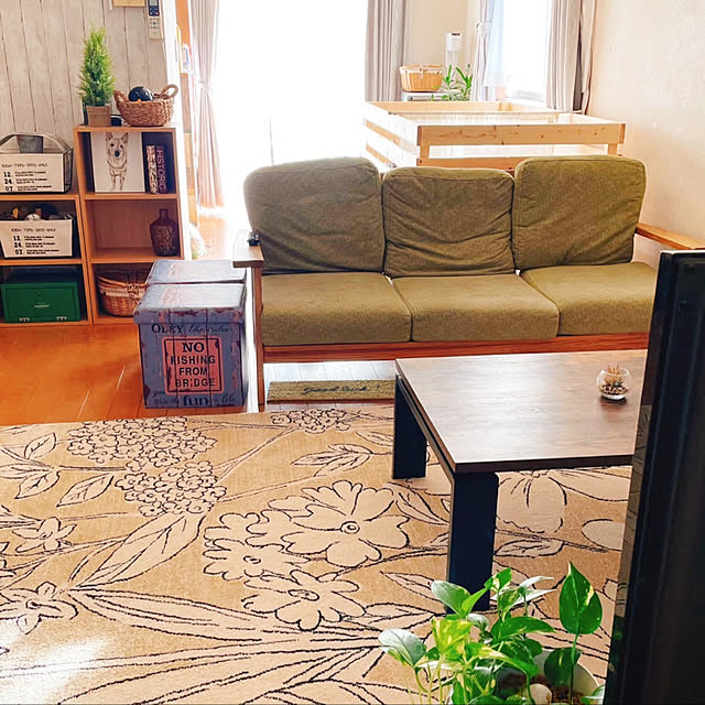 ニトリ/ダイソー/ナチュラル/DIY/観葉植物...などのインテリア実例 - 2022-01-25 08:55:48