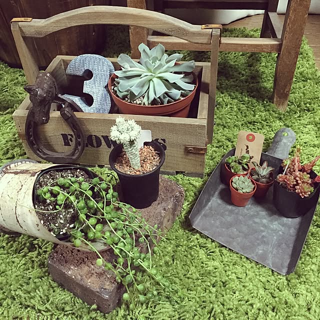 tomo26さんの実例写真