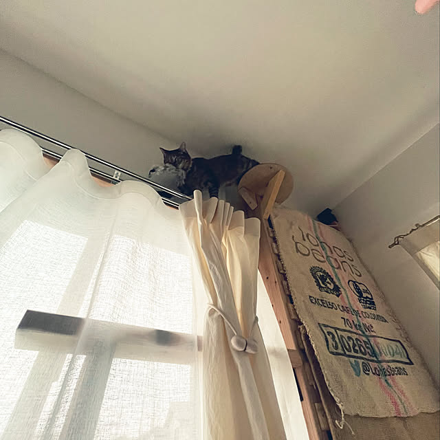 Mさんの実例写真