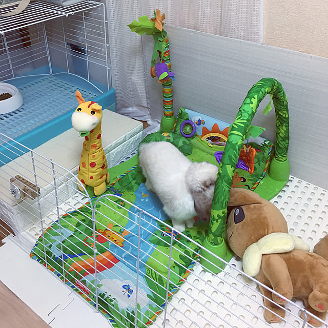 FUさんの実例写真