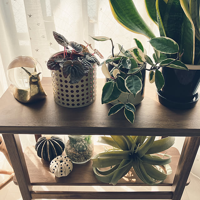 raraさんの実例写真