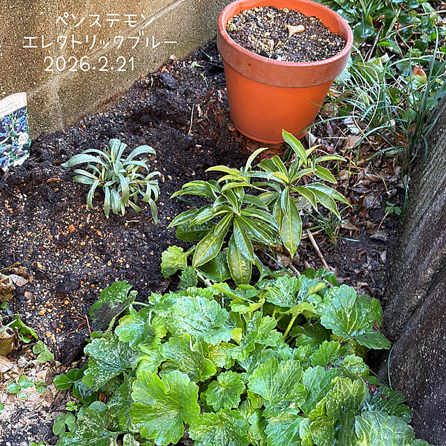 buchiさんの部屋