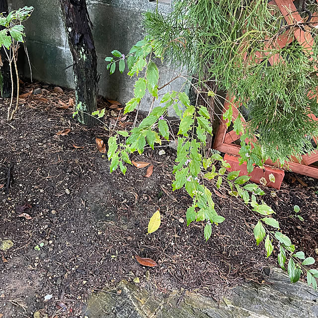 shin0719さんの部屋