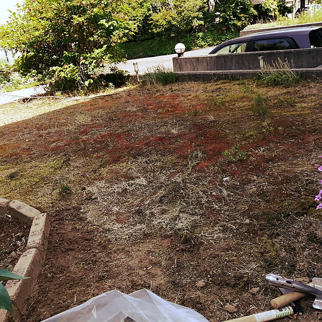 Kinanさんの実例写真