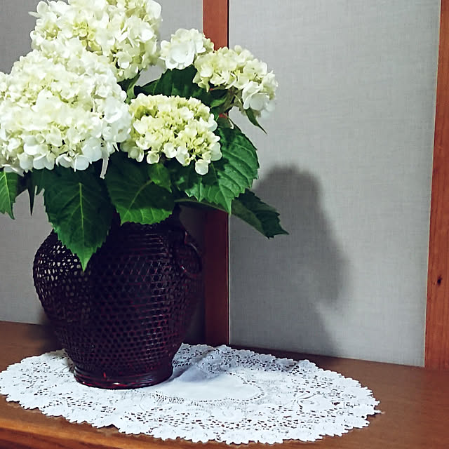 junkn6さんの実例写真