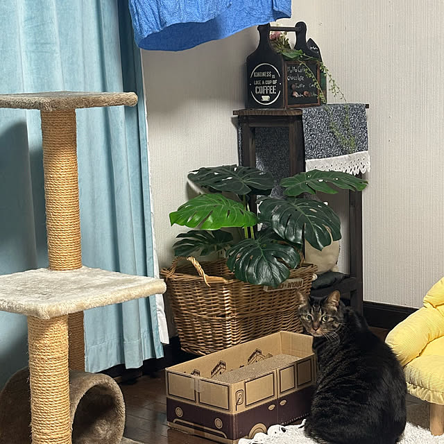 momocchiさんの部屋