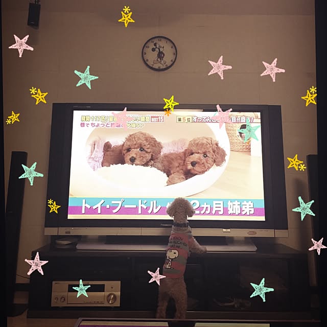 poohkunさんの実例写真
