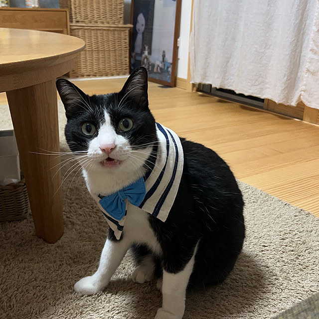 haruさんの部屋