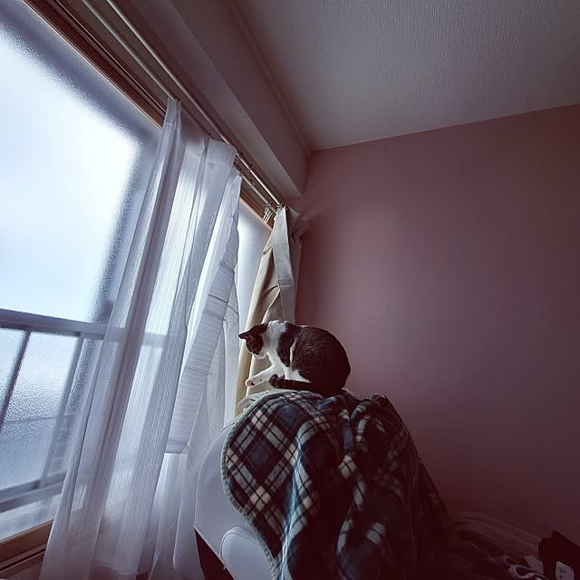 akimameさんの部屋
