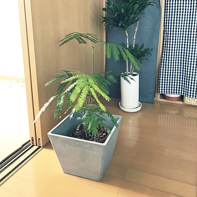 powakyonさんの実例写真