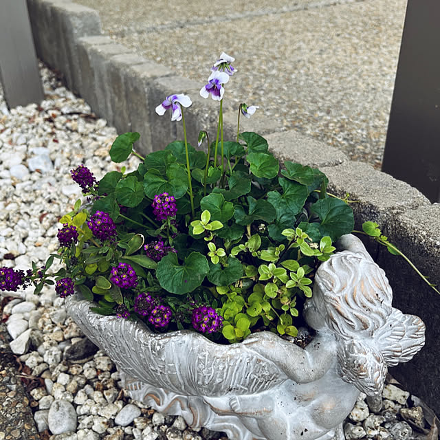 yukarin-gardenさんの部屋