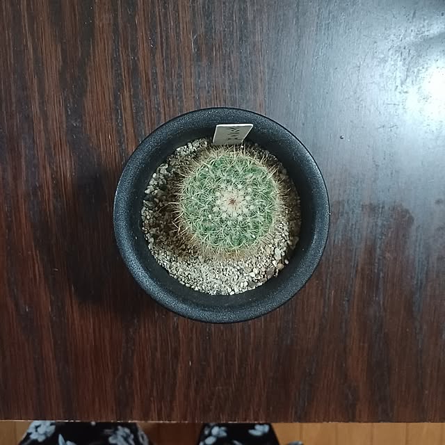 tuushiさんの実例写真