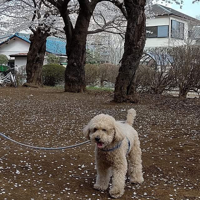 yumirinさんの部屋
