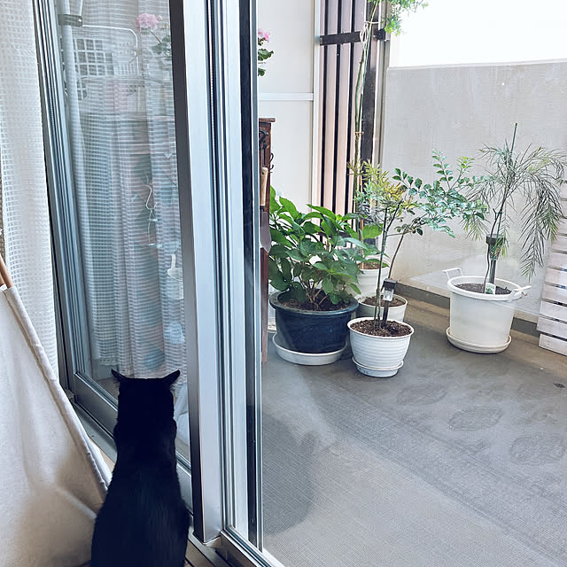 nekomiさんの部屋