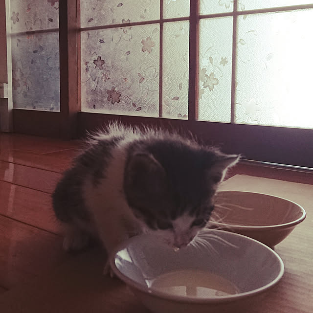 kikuさんの実例写真