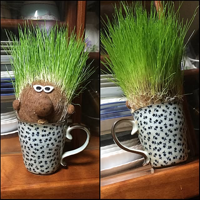 eriさんの実例写真