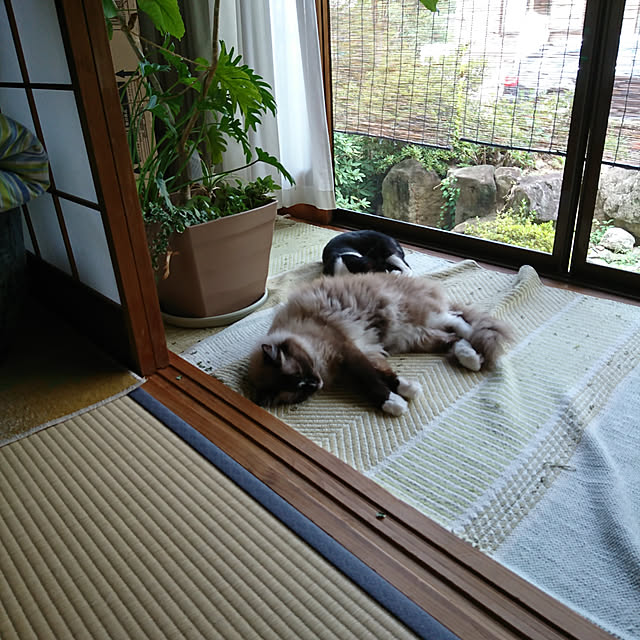 coffee-groundsさんの実例写真