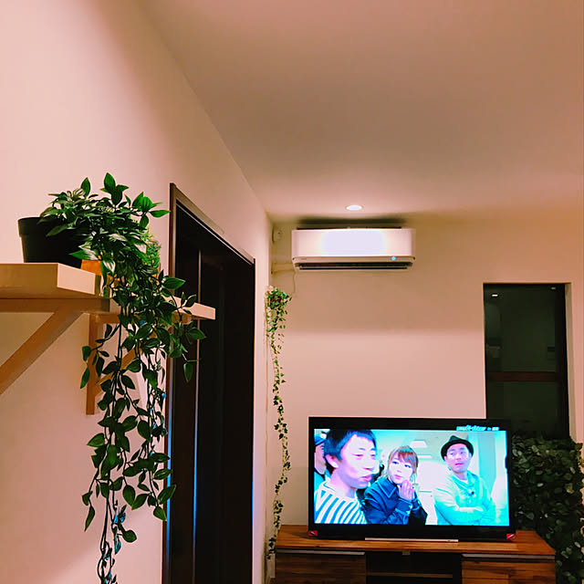 実例写真