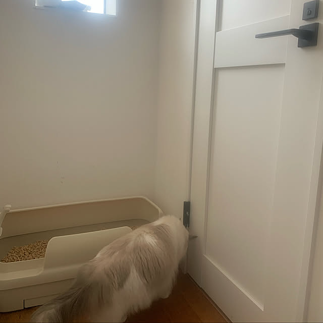 yukiさんの実例写真