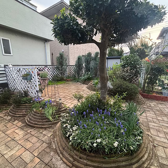 momocchiさんの部屋